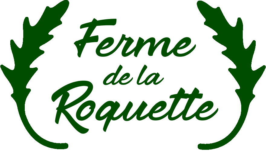 interactive connection